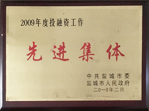 2010年2月投融资工作先进集体.JPG